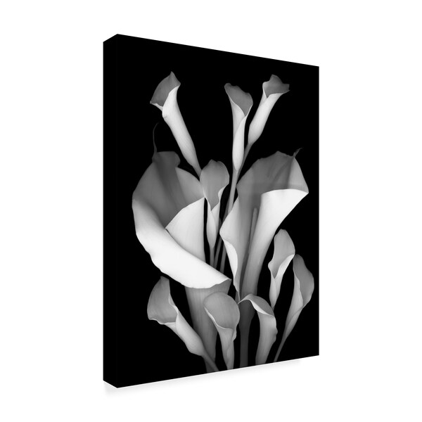 Susan S. Barmon 'White Calla 2 Black And White' Canvas Art,35x47